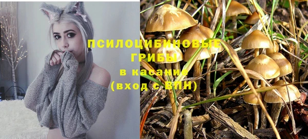 героин Алексин