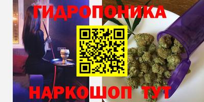 мдпв Новокубанск