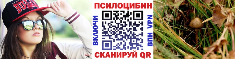 что такое   Глазов  Псилоцибиновые грибы прущие грибы 