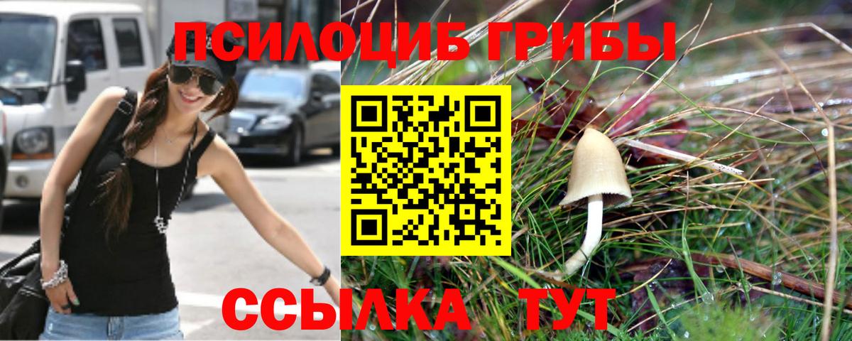 Галлюциногенные грибы Psilocybe  Вход с VPN  Глазов 